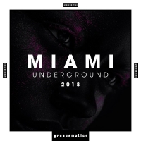 VA - Miami Underground 2018 (2018) MP3