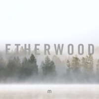 Etherwood - In Stillness (2018) MP3 от Vanila