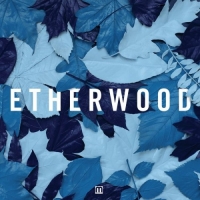 Etherwood - Blue Leaves (2015) MP3  Vanila