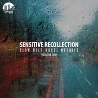 VA - Sensitive Recollection Vol 1: Slow Deep House Grooves (2018) MP3