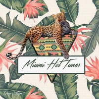 VA - Miami Hot Tunes (2018) MP3