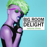 VA - Big Room Delight Vol.3 (2018) MP3