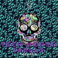 VA - Tech House Skulls Vol.3 (2018) MP3