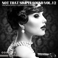 VA - Not That Simple Sound Vol.12 (2018) MP3