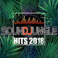 VA - Soundjungle Hits 2018 (2018) MP3