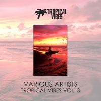 VA - Tropical Vibes vol. 3 (2018) MP3