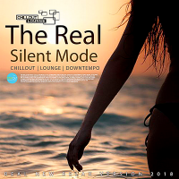 VA - The Real Silent Mode (2018) MP3
