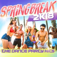 VA - Springbreak 2k18 [The Dance Party Hits] (2018) MP3