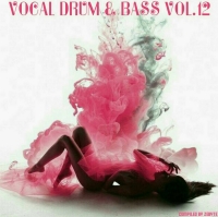 VA - Vocal Drum & Bass Vol.12 [Compiled by ZeByte] (2018) MP3