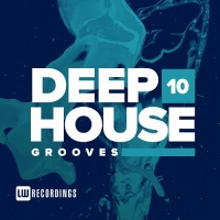 VA - Deep House Grooves Vol.10 (2018) MP3