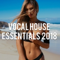 VA - Vocal House Essentials 2018 [Mixed by Vin Veli] (2018) MP3