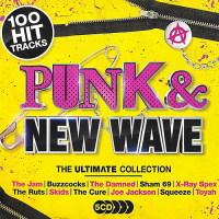 VA - Punk And New Wave The Ultimate Collection (2018) MP3