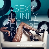 VA - Sexy Funky House Grooves Vol.3 (2018) MP3