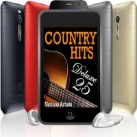 VA - Country Hits Deluxe 25 (2018) MP3
