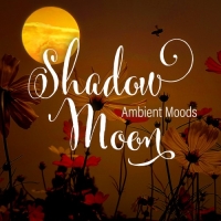 VA - Shadow Moon - Ambient Moods (2018) MP3
