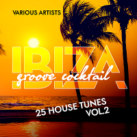 VA - Ibiza Groove Cocktail [25 House Tunes] Vol.2 (2018) MP3