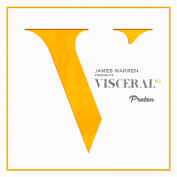 VA - Visceral 061 (2018) MP3