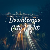 VA - Downtempo City Night (2018) MP3