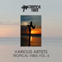 VA - Tropical Vibes vol. 6 (2018) MP3