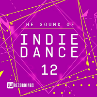 VA - The Sound Of Indie Dance Vol.12 (2018) MP3