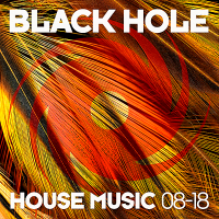 VA - Black Hole House Music [08-18] (2018) MP3