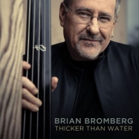 Brian Bromberg - Thicker Than Water (2018) MP3