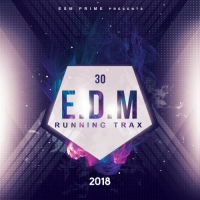 VA - 30 EDM Running Trax 2018 (2018) MP3