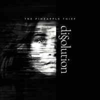 The Pineapple Thief - Dissolution (2018) MP3