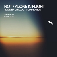 VA - Not/Alone in Flight (2018) MP3  Vanila