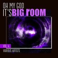 VA - Oh My God It's Big Room Vol.4 (2018) MP3
