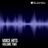 VA - Voice Hits Vol.2 (2018) MP3