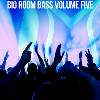 VA - Big Room Bass Vol.5 (2018) MP3