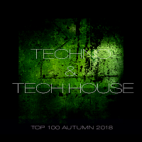 VA - Techno & Tech House Top 100 Autumn (2018) MP3