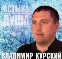 Владимир Курский - Остыла душа (2018) MP3