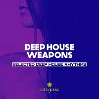 VA - Deep House Weapons [Selected Deep House Rhythms] (2018) MP3
