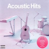 VA - Acoustic Hits [2CD] (2017) MP3