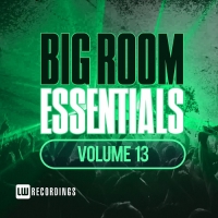 VA - Big Room Essentials Vol.13 (2018) MP3
