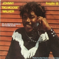 Johnny 'Big Moose' Walker - Rambling Woman (1969) MP3