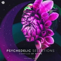 VA - Psychedelic Selections Vol. 003 [Complited by Ritmo] (2018) MP3