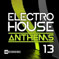 VA - Electro House Anthems Vol.13 (2018) MP3