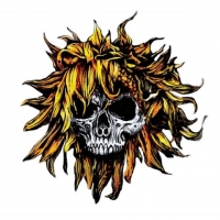 Sunflower Dead - COMA (2018) MP3