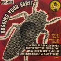 VA - Rock Sound: Bugging Your Ears! No. 132 (2010) MP3 от Vanila