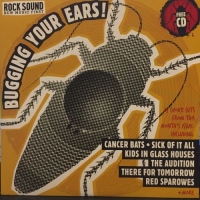 VA - Rock Sound: Bugging Your Ears! No. 134 (2010) MP3  Vanila