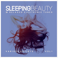 VA - Sleeping Beauty [25 Relaxed Electronic Tunes] Vol.1 (2018) MP3