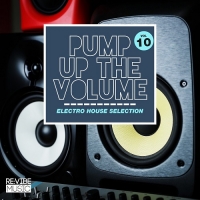 VA - Pump Up The Vol.10 [Electro House Selection] (2018) MP3