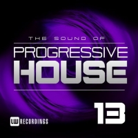 VA - The Sound Of Progressive House Vol.13 (2018) MP3