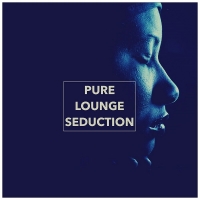 VA - Pure Lounge Seduction (2018) MP3