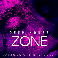 VA - Deep-House Zone Vol.1 (2018) MP3