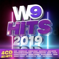 VA - W9 Hits 2019 [4CD] (2018) MP3