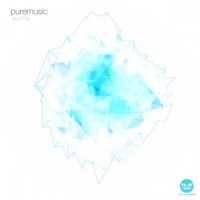 Puremusic - Purity (2013) MP3  Vanila